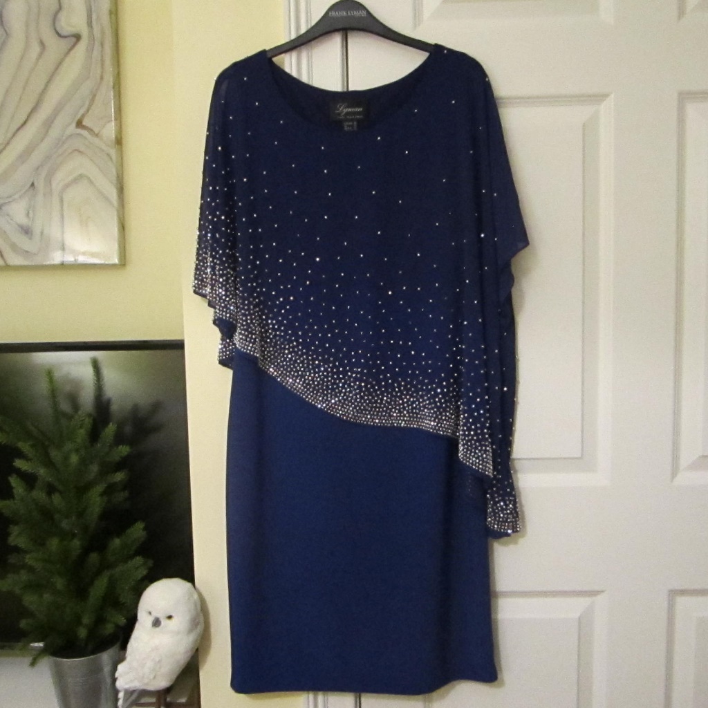 Frank Lyman Special Occasion Dress